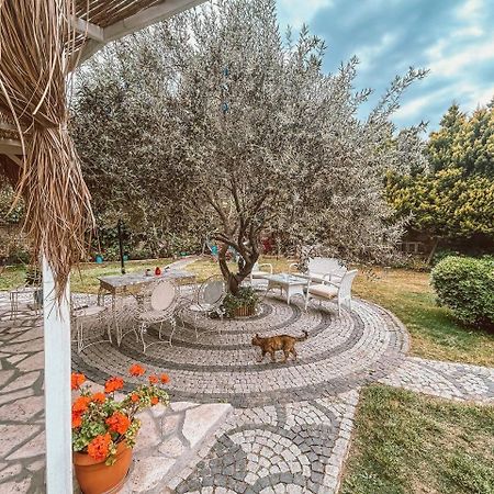 Eden Selene Hotel Ayvalı Extérieur photo
