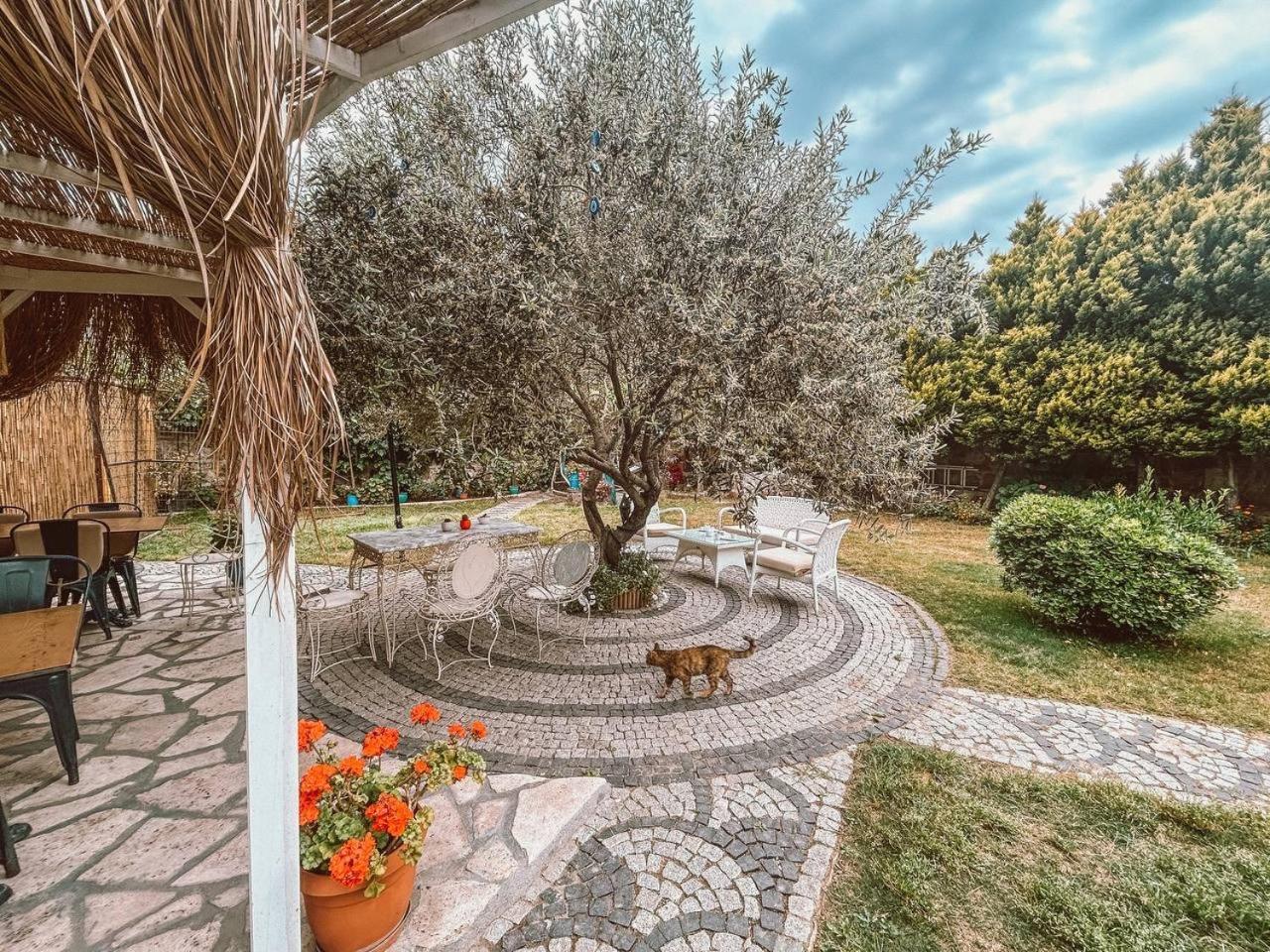 Eden Selene Hotel Ayvalı Extérieur photo