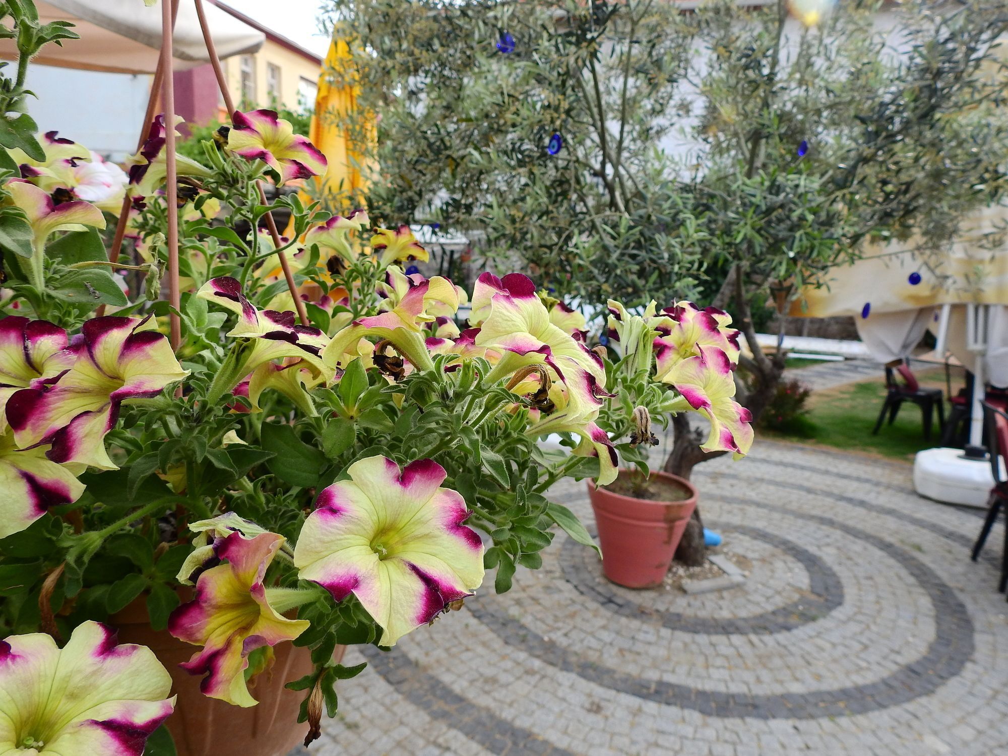 Eden Selene Hotel Ayvalı Extérieur photo
